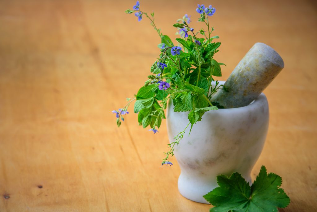 Rasayan Chikitsa — Ayurvedic rejuvenation preparations
